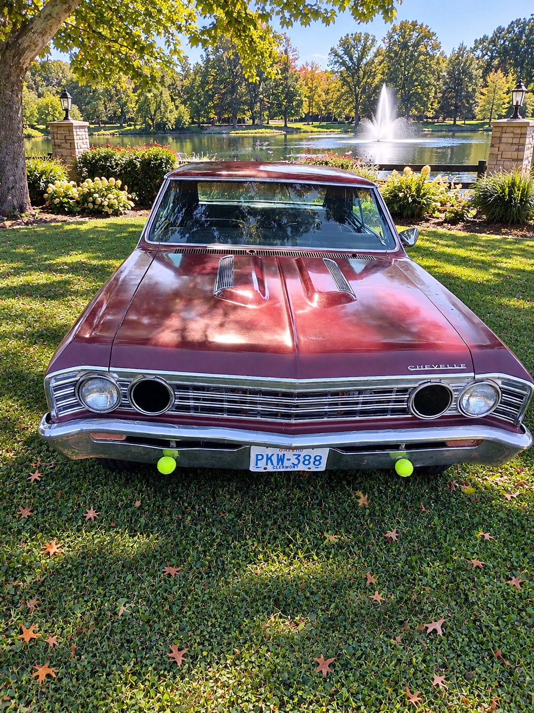 1967 Chevelle photo 7