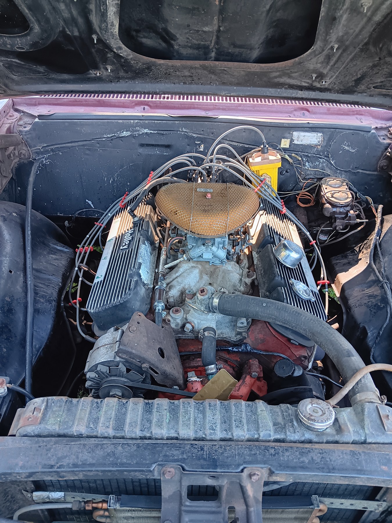 1967 Chevelle photo 9