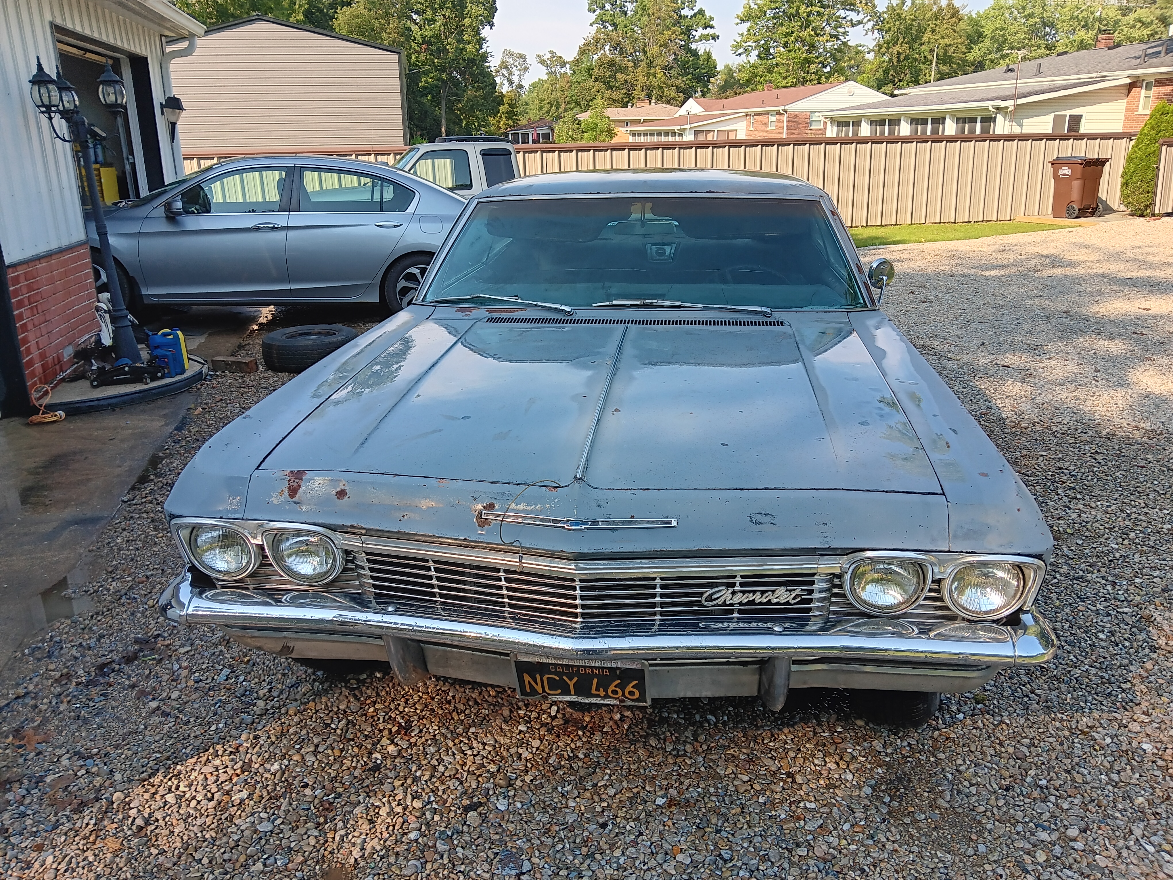 Impala front view