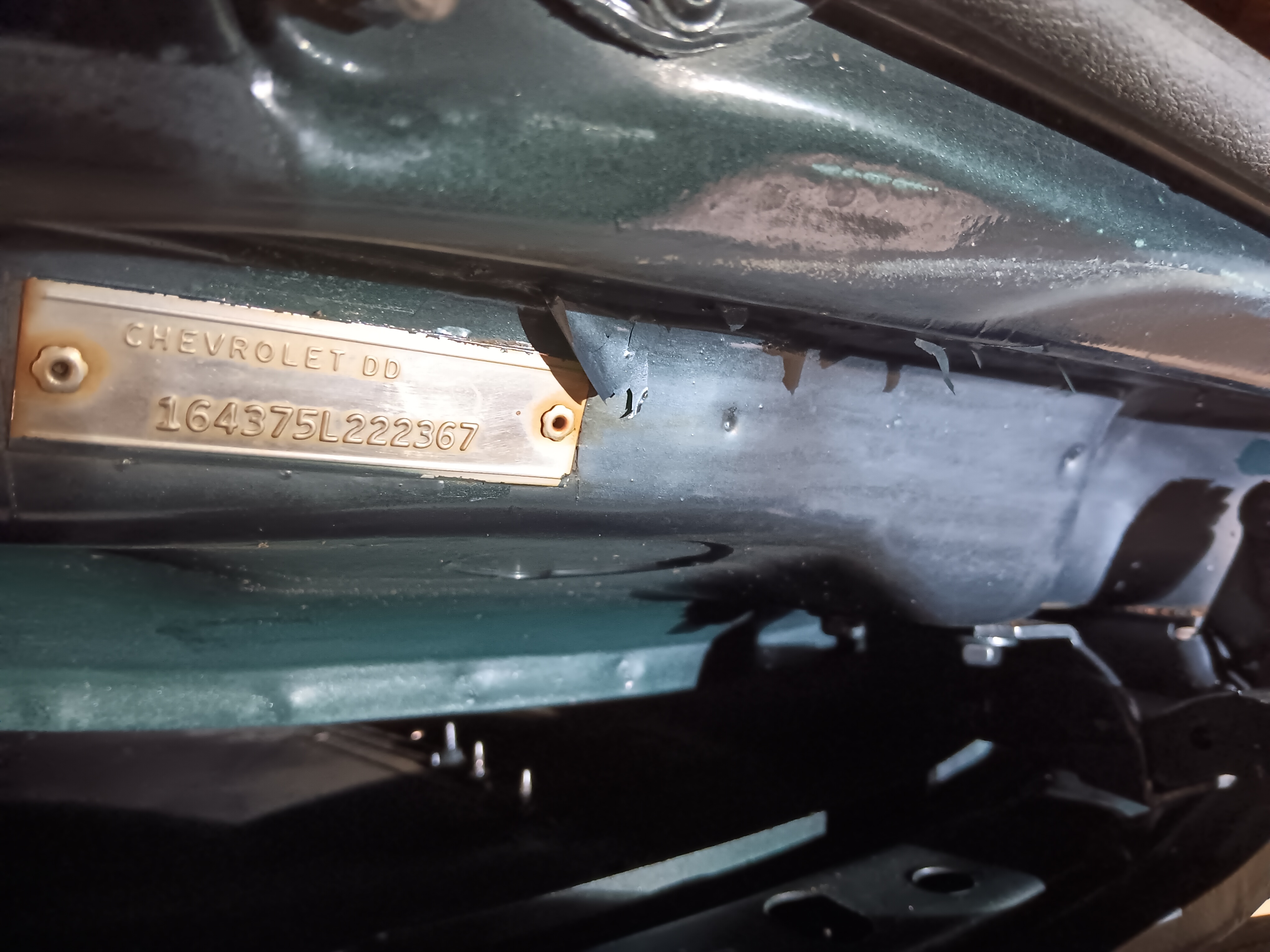Impala identification